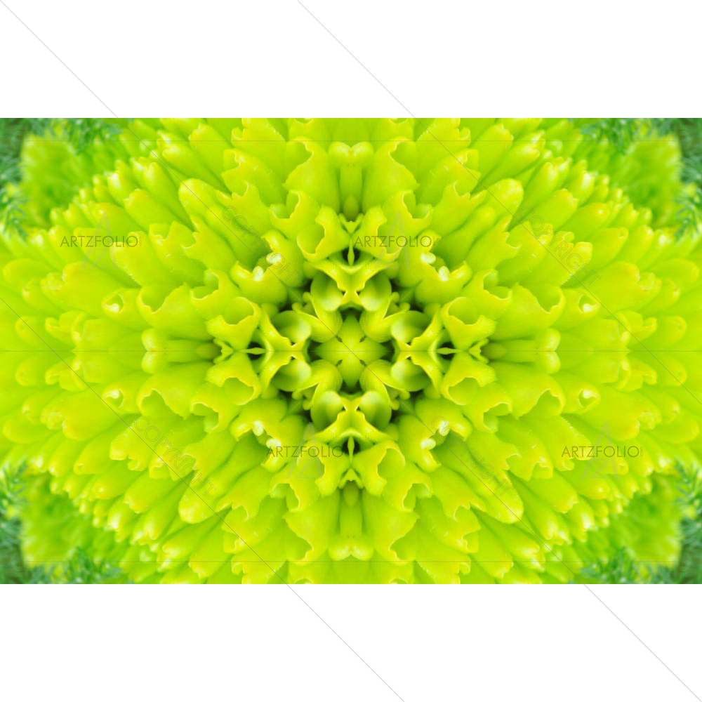 Green Mandala D1 — custom-size art design 5005803