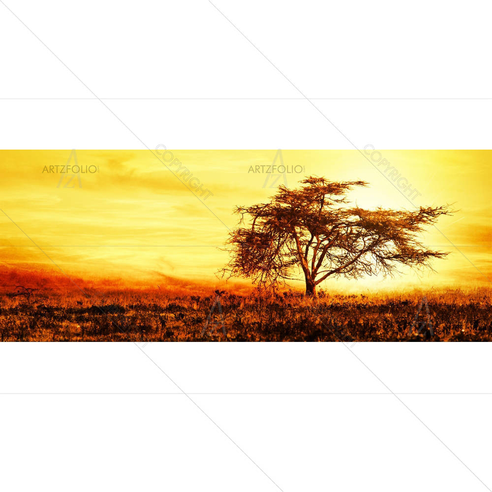 African Tree Silhouette Over Sunset — custom-size art design 5005806