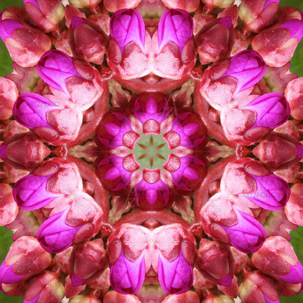 Purple Floral Mandala D2 — custom-size art design 5005813
