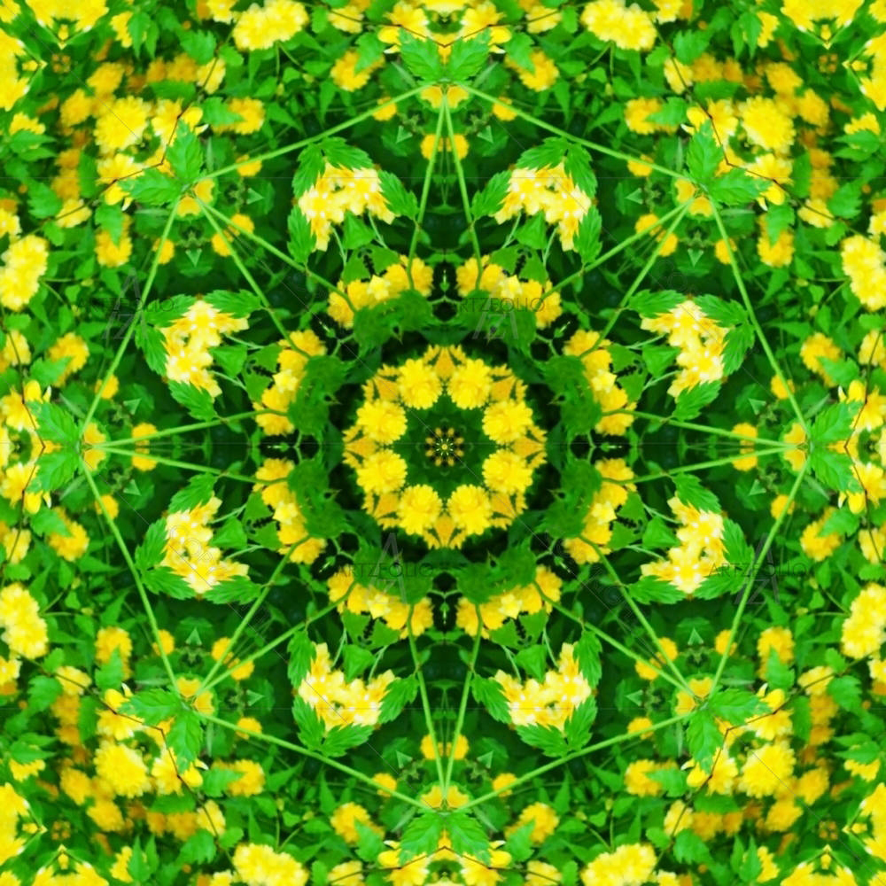Spring Mandala Flower — custom-size art design 5005830