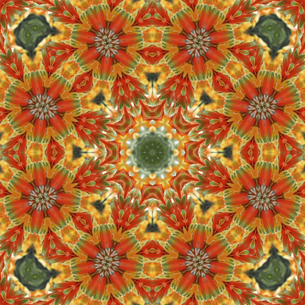 Orange Mandala — Devotional custom art by ArtzFolio