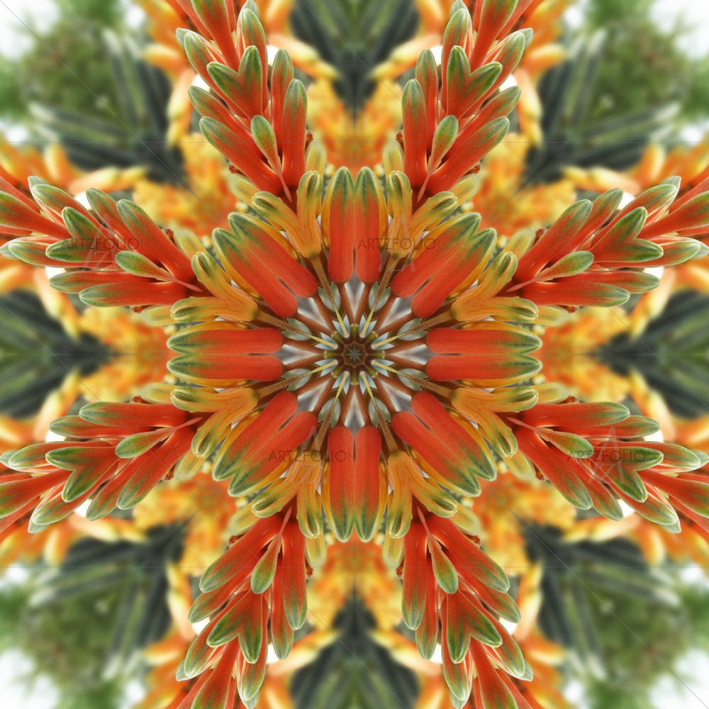Floral Mandala — Devotional custom art by ArtzFolio