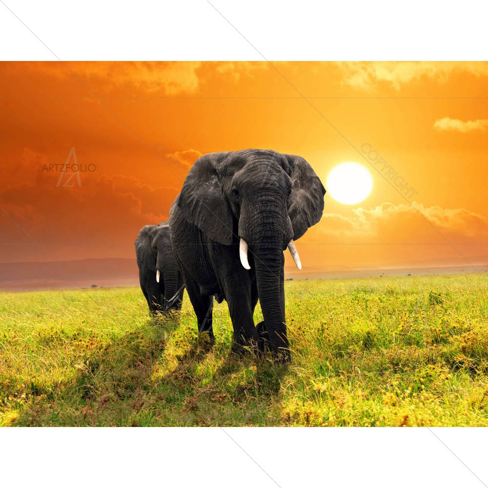 African Elephants Walking in Savannah, Tanzania — custom-size art design 5005833