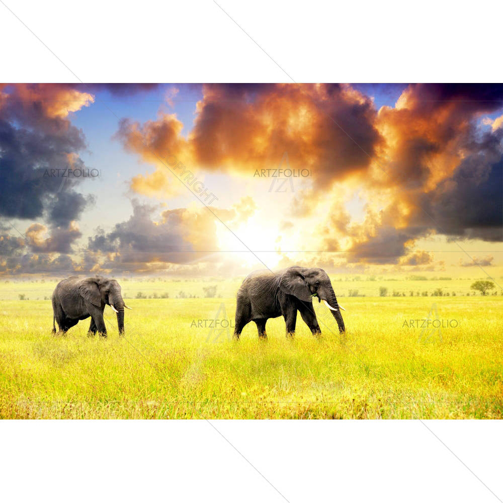 African Elephants In The Savannah, Africa — custom-size art design 5005837