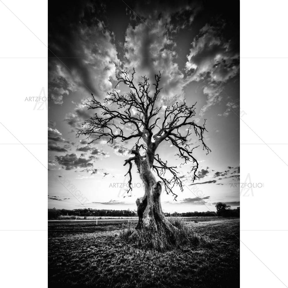 Alone Dead Tree on Country Highway — Landscapes custom art by ArtzFolio
