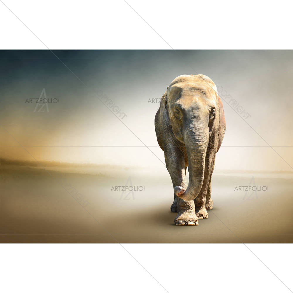 Elephant Largest Terrestrial Animal — custom-size art design 5005877