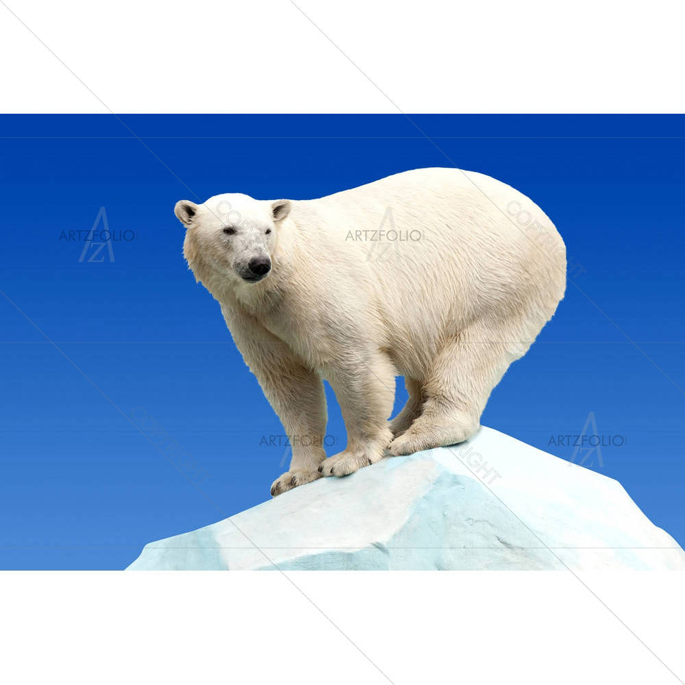 Polar Bear D2 — custom-size art design 5005888