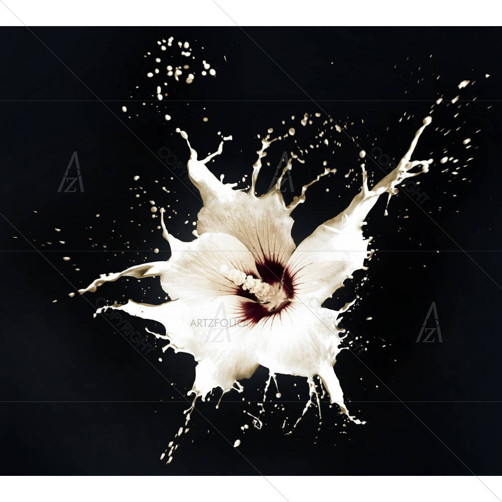 White Flowers With Milk Splash — custom-size art design 5005892