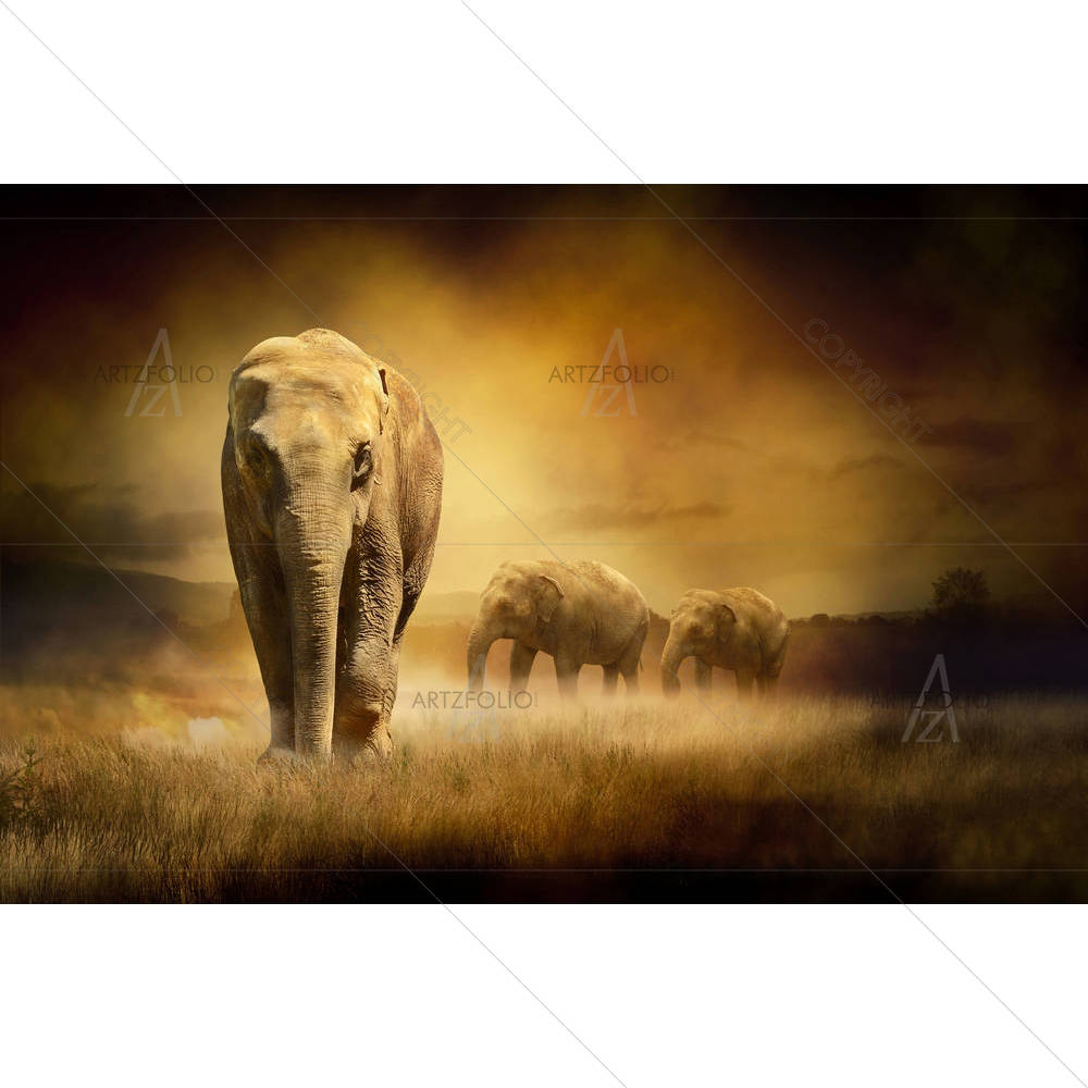 Elephants At Sunset — custom-size art design 5005894