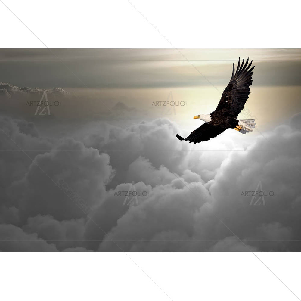 Bald Eagle Flying — American custom art by ArtzFolio