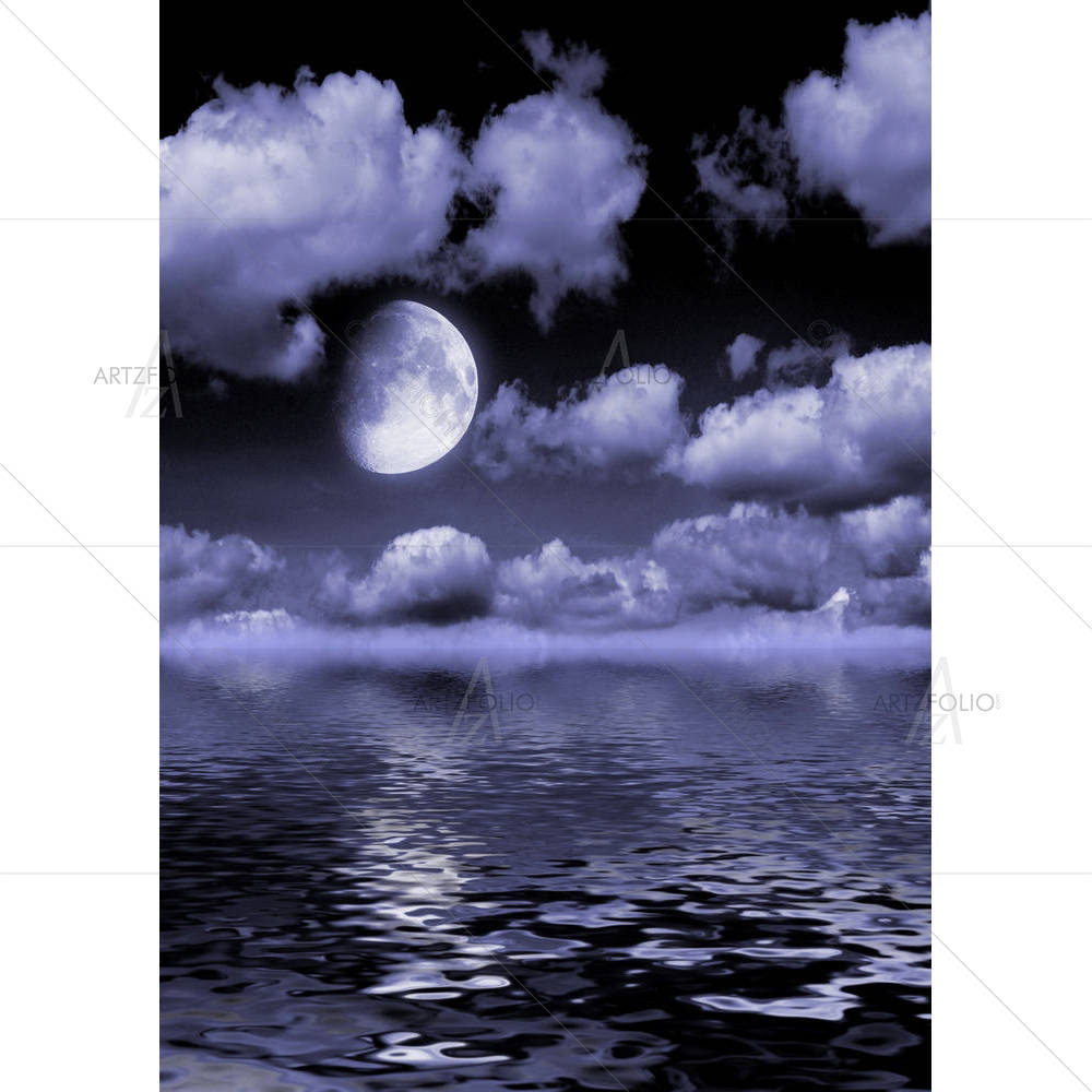 Swans Floating In The Lake — custom-size art design 5005900