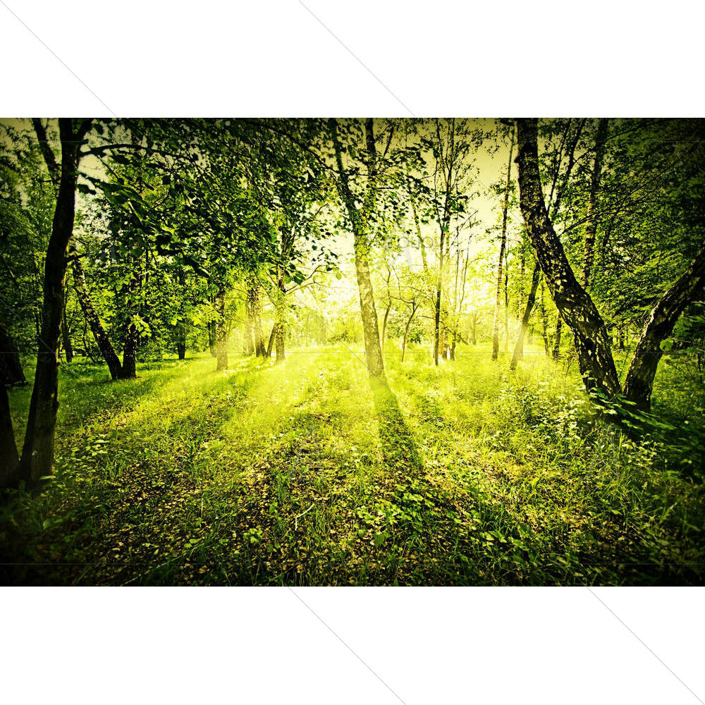 Fantasy Green Deep Forest — Automobiles custom art by ArtzFolio