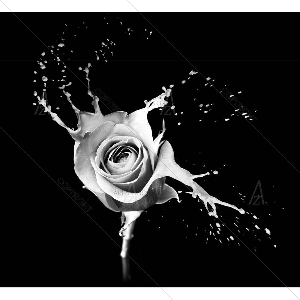 Rose With Red Splashes — custom-size art design 5005910