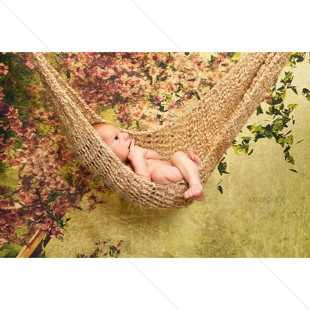 Newborn Baby Boy Relaxes In A Hammock — custom-size art design 5005917