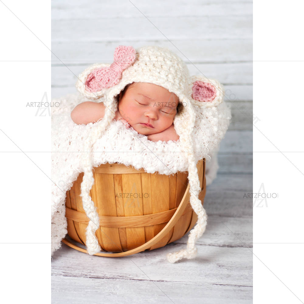 Newborn Girl Wearing a Hat & Sitting in a Basket — custom-size art design 5005922