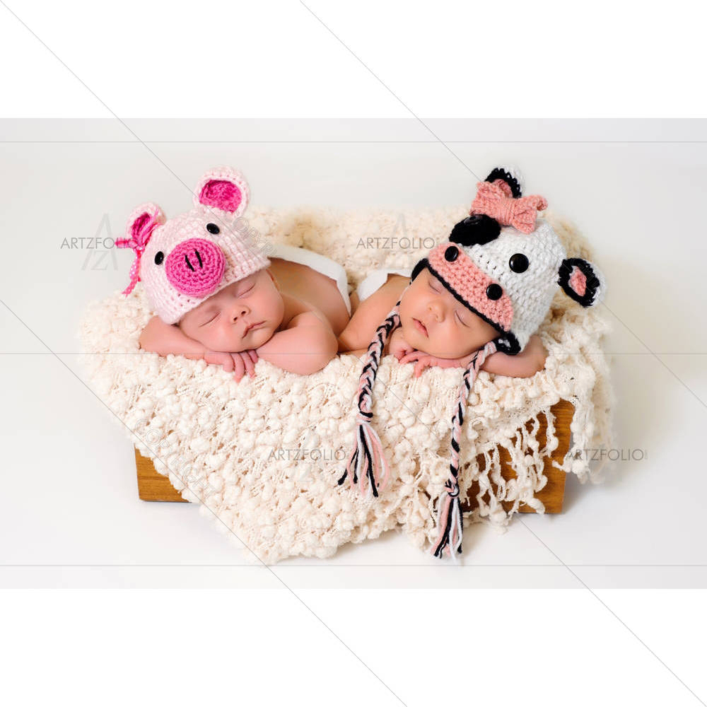 Sleeping Fraternal Twin Newborn Baby Girls D1 — Asian custom art by ArtzFolio
