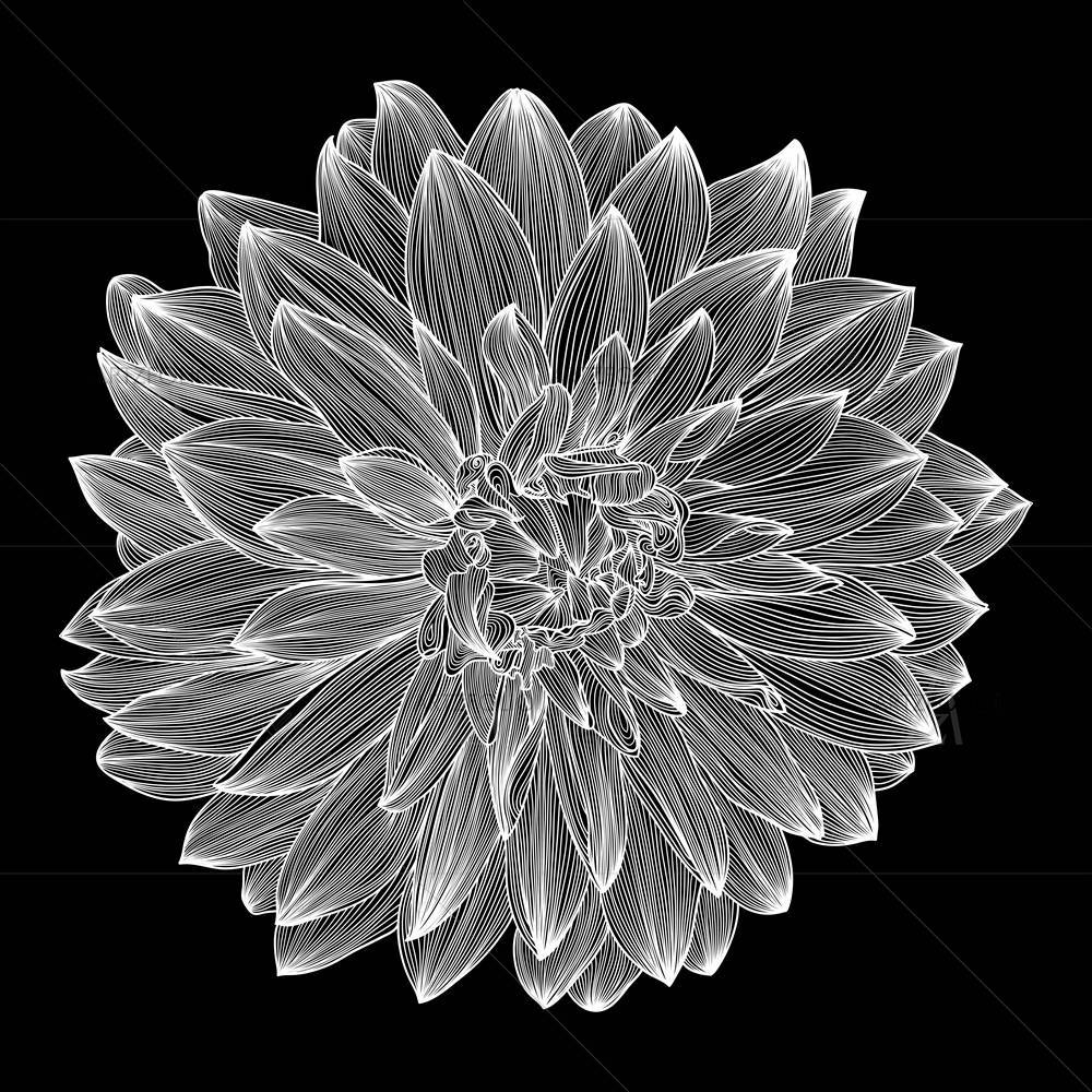 Dahlia Flower D1 — custom-size art design 5005934