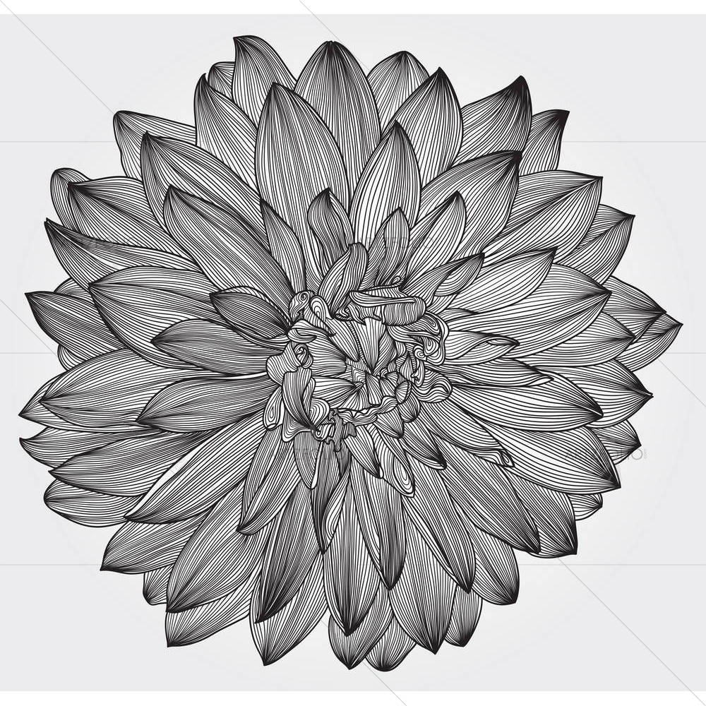 Black Dahlia Flower — Botanical custom art by ArtzFolio