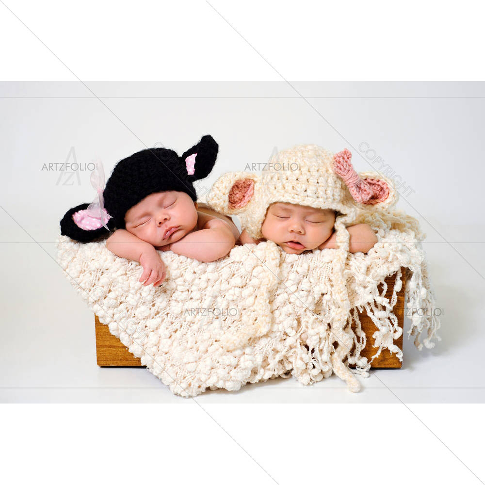 Sleeping Fraternal Twin Newborn Baby Girls D2 — custom-size art design 5005939