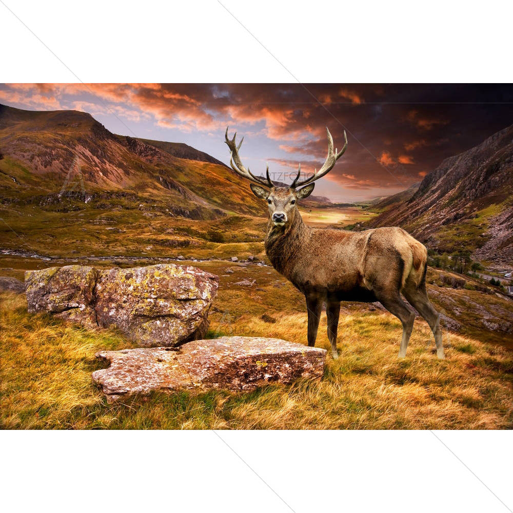 Mountain Range & Red Deer Stag — custom-size art design 5005973