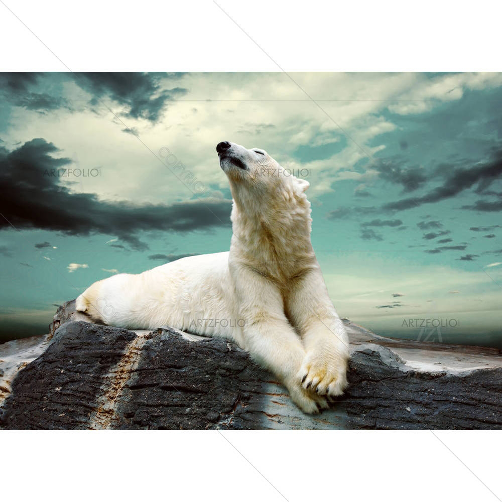 White Polar Bear Hunte — custom-size art design 5005998