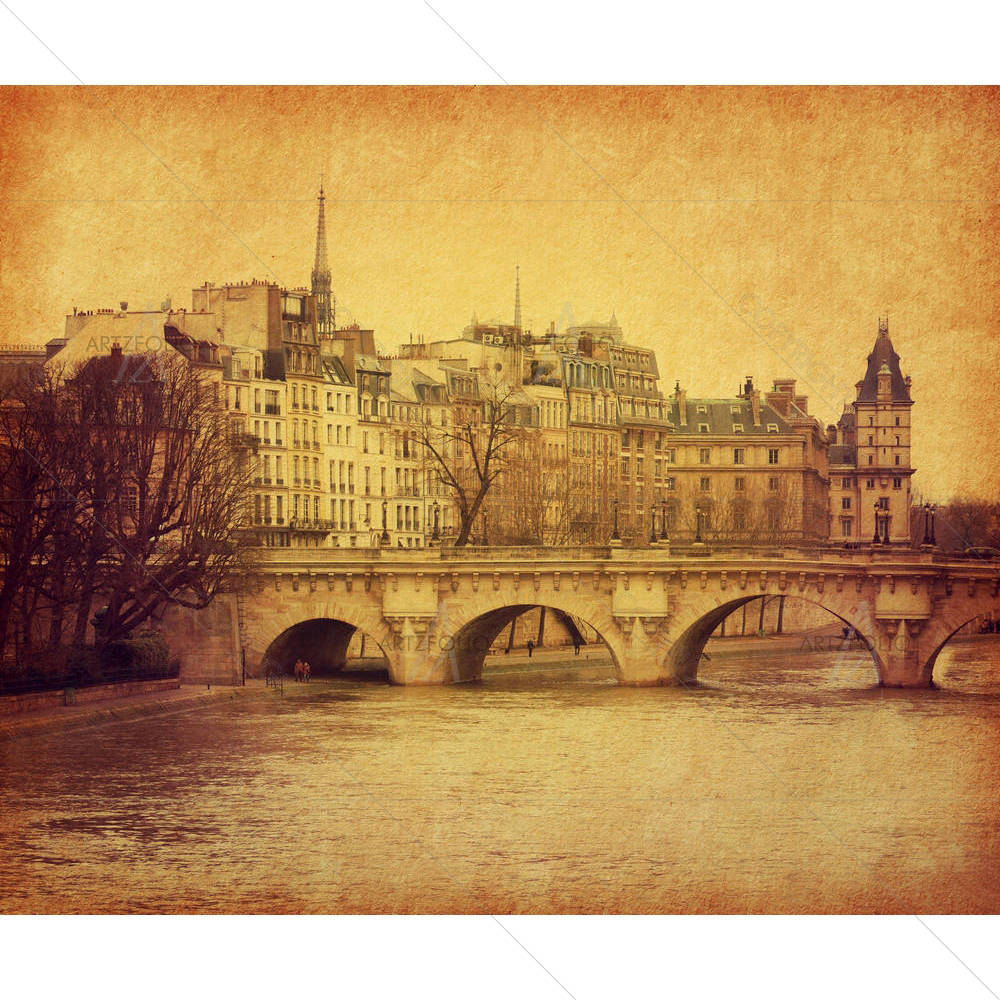 Seine Pont Neuf In Central Paris, France D2 — custom-size art design 5006032