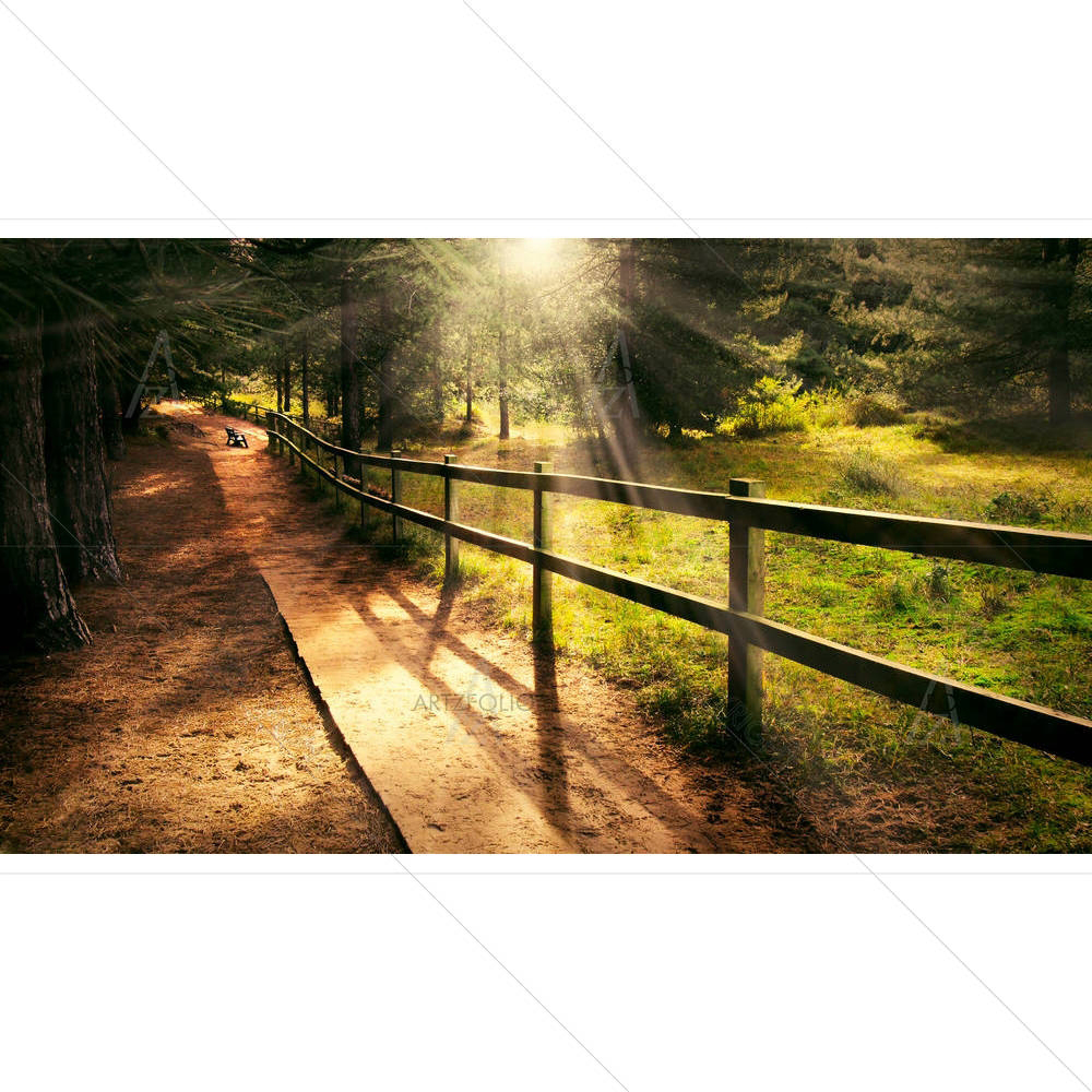 Dreamy Enchanting Path In The Forest — custom-size art design 5006037