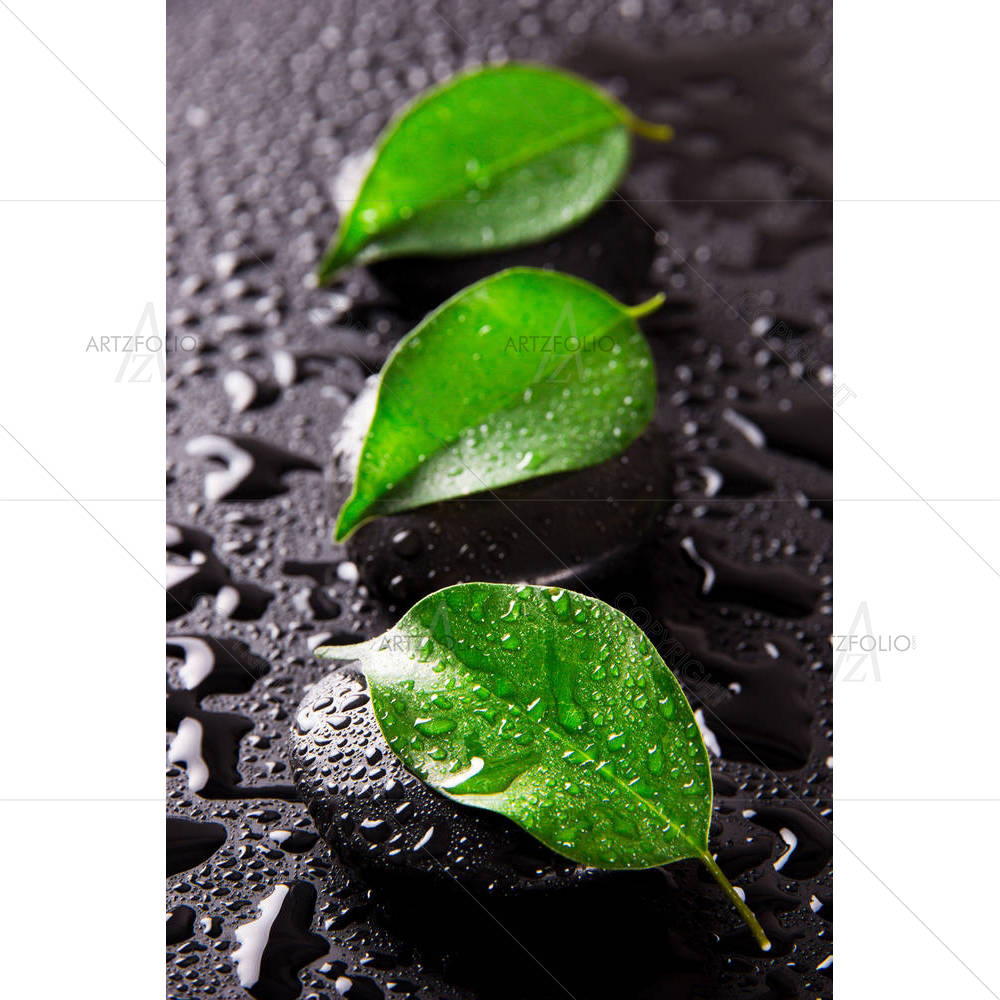 Spa Still Life With Green Leaves — Botanical custom art by ArtzFolio