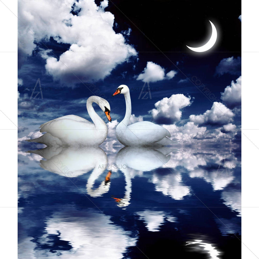 Two White Swans D2 — custom-size art design 5006062