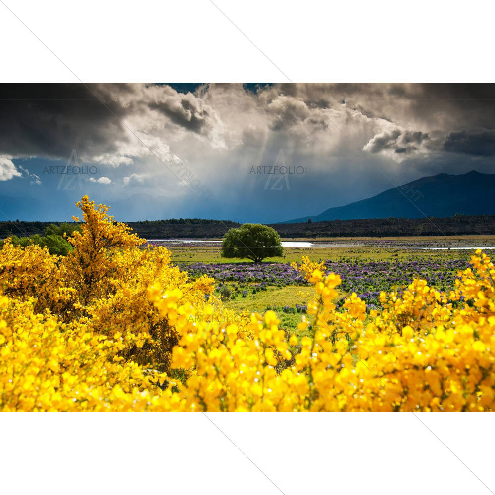 Landscape of Lonely Tree in New Zealand — custom-size art design 5006065