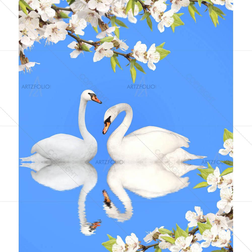 Two White Swans D3 — custom-size art design 5006075