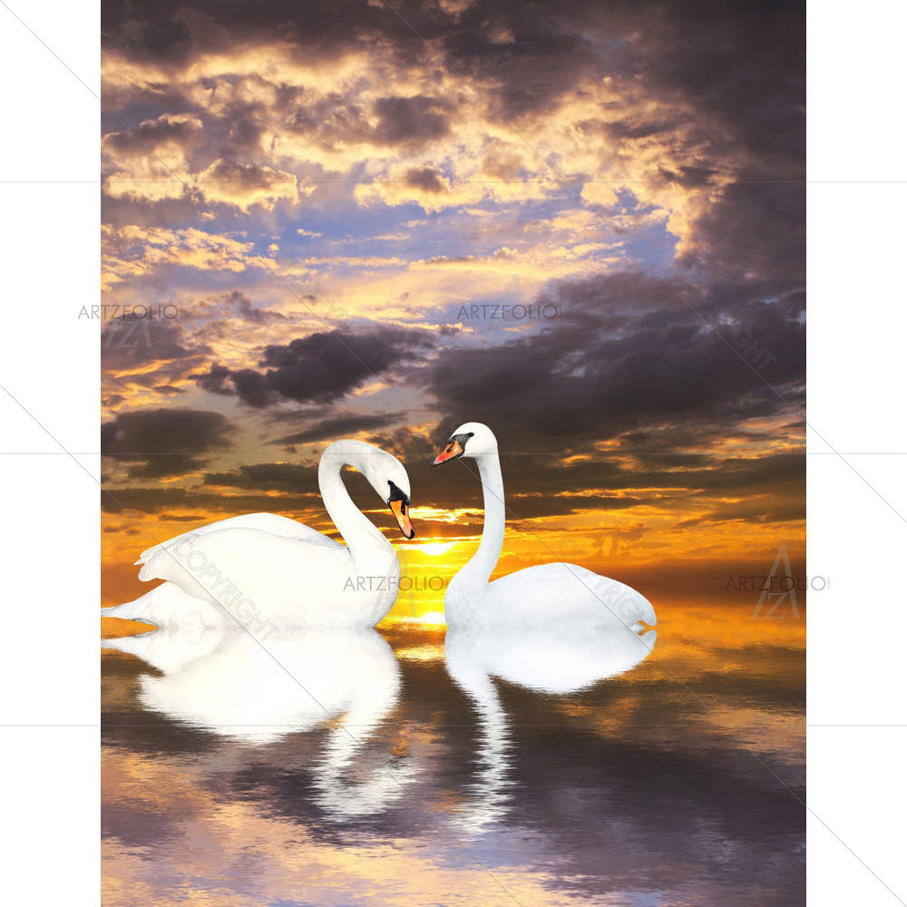 Two White Swans D4 — custom-size art design 5006080