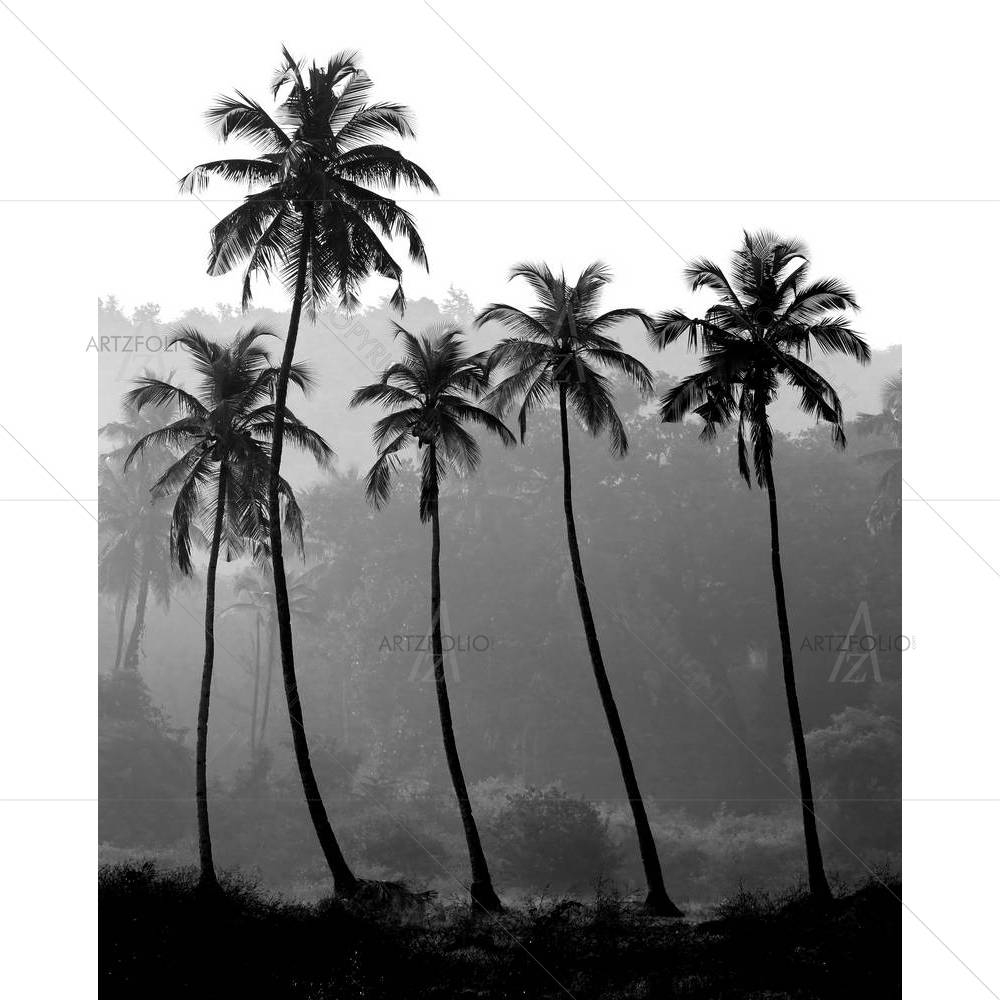 Black & White Photo Of Palm Trees — Asian custom art by ArtzFolio