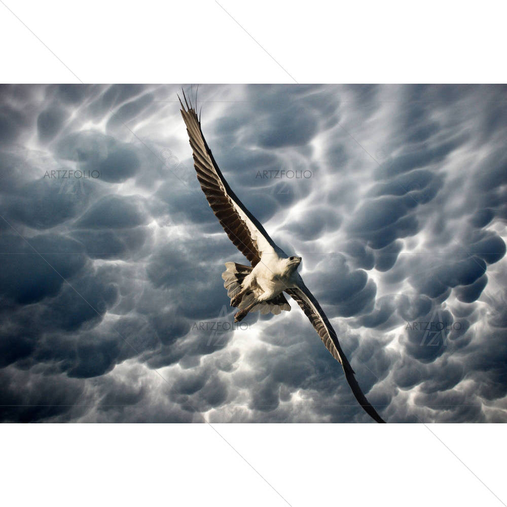 Eagle in the Stormy Sky — Fluid marble custom art by ArtzFolio