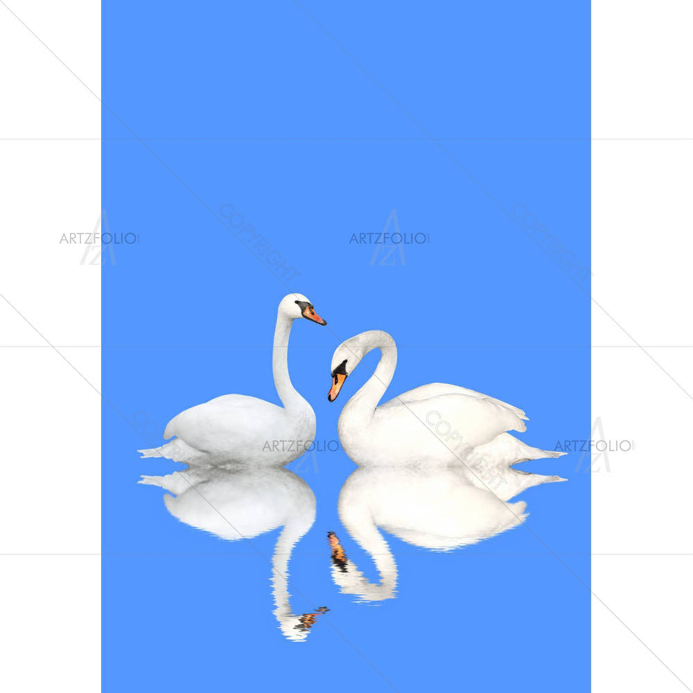Two White Swans D5 — custom-size art design 5006101