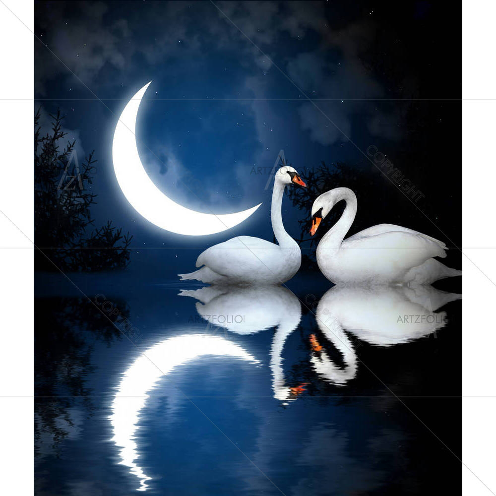 Two White Swans D6 — Animals custom art by ArtzFolio