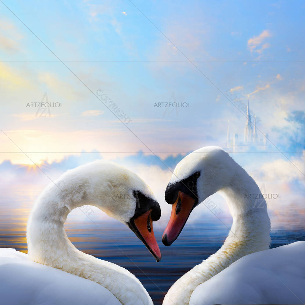 Pair of Swans in Love Floating — custom-size art design 5006127