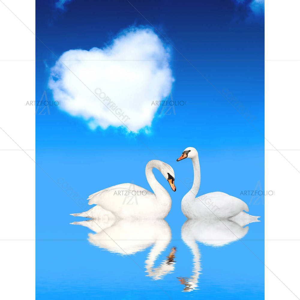 Two White Swans D7 — custom-size art design 5006140