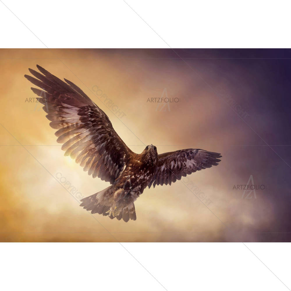Eagle Flying In The Sky — custom-size art design 5006141