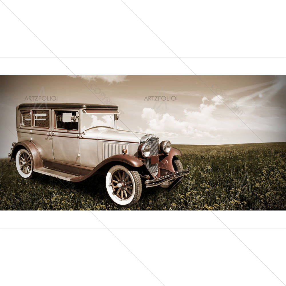 Retro Car Standing in a Field — American custom art by ArtzFolio