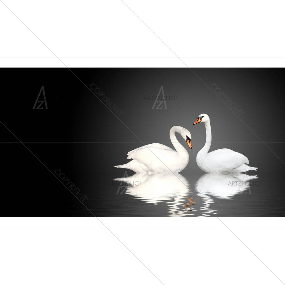 Two White Swans D9 — Animals custom art by ArtzFolio
