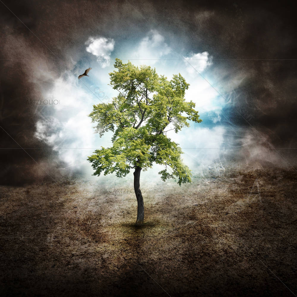 Lonely Tree in the Woods, Dream or Nature Concept — custom-size art design 5006162