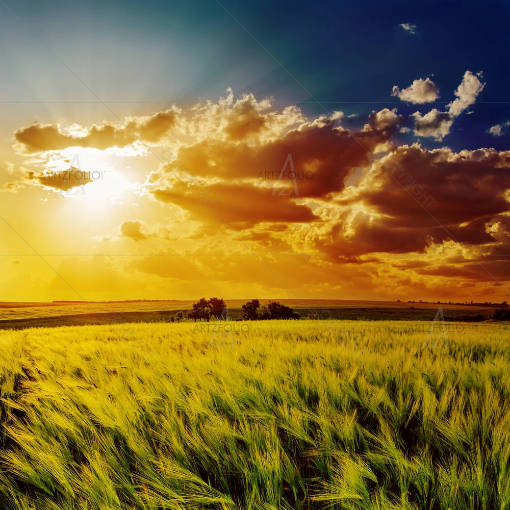 Orange Sunset Over Green Field — Countries custom art by ArtzFolio