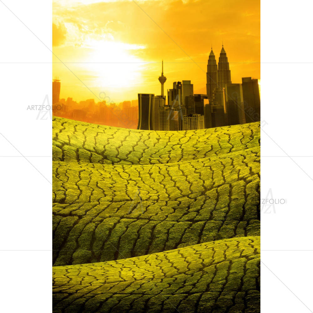 Kuala Lumpur Skyline Over Grass Land, Malaysia — custom-size art design 5006165