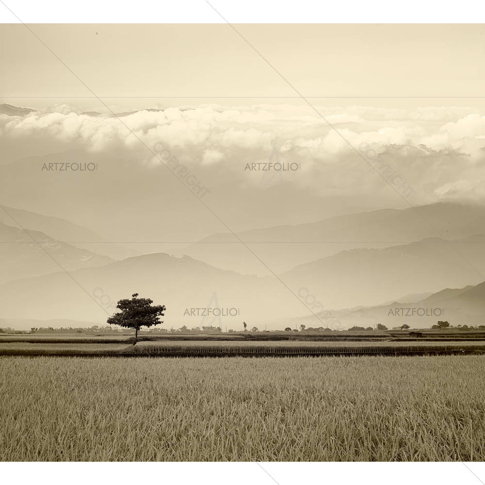 Beautiful Paddy Place — custom-size art design 5006170
