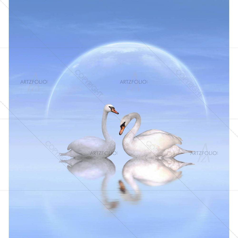 Two White Swans D10 — custom-size art design 5006187