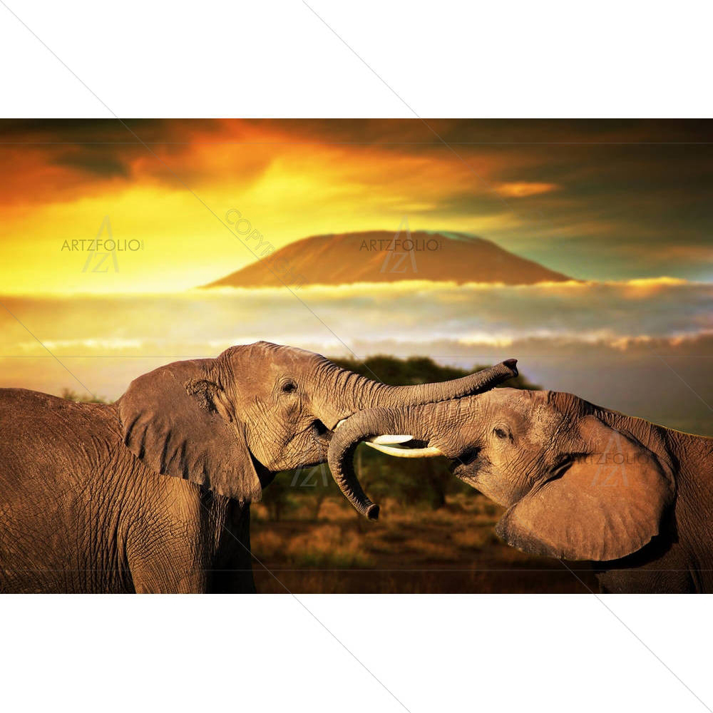 Elephants Playing With Their Trunks On Mount Kilimanjaro — custom-size art design 5006266