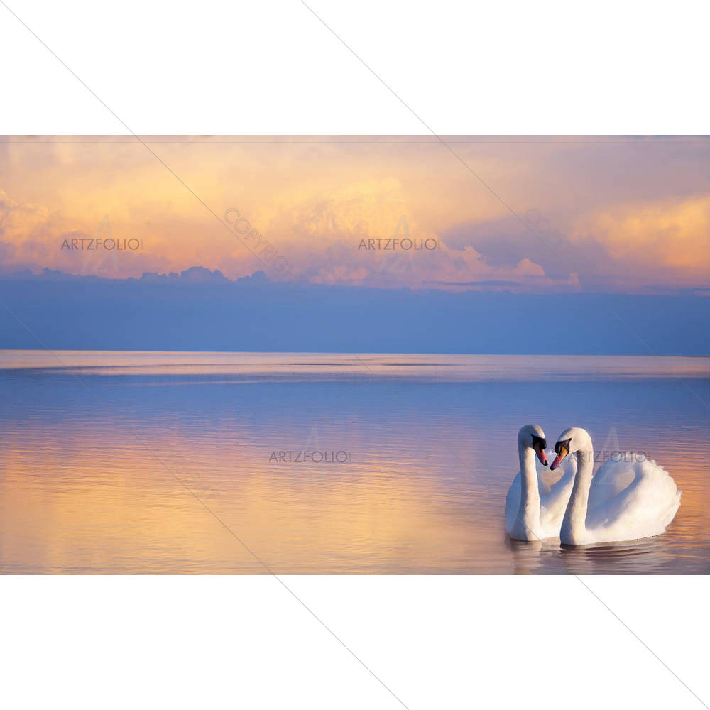 Two White Swans On A Lake — custom-size art design 5006274