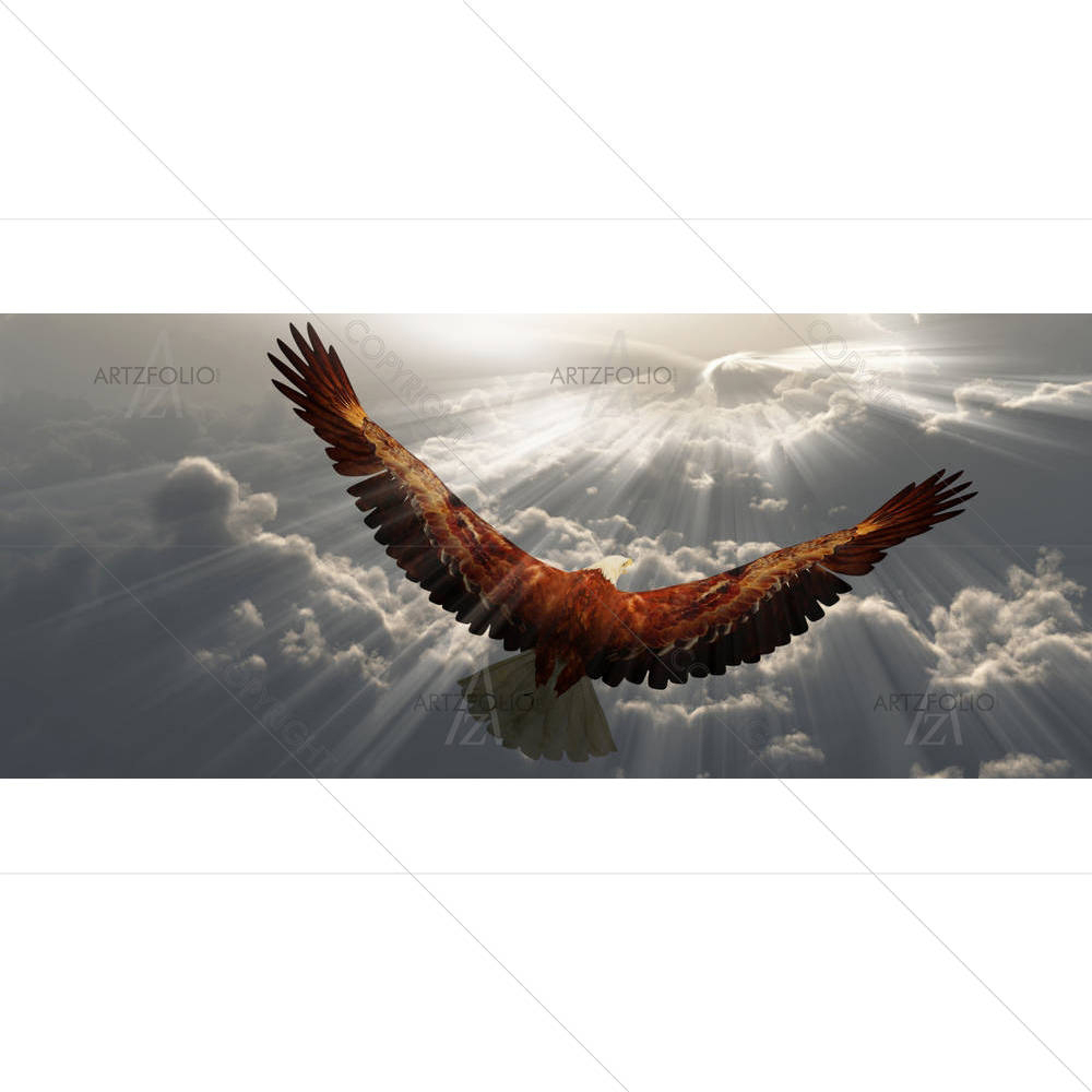 Eagle In Flight — custom-size art design 5006333
