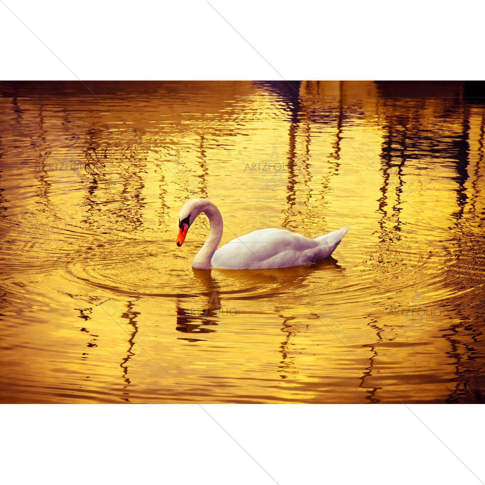White Swan D2 — custom-size art design 5006376